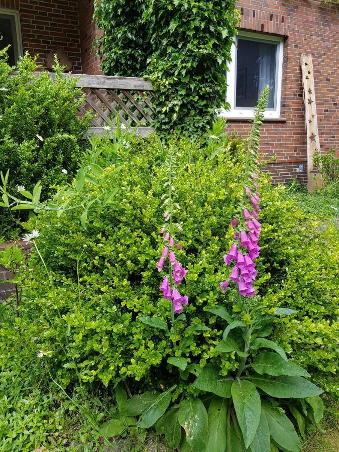 Ferienwohnung Im Naturgarten Schneverdingen Extérieur photo